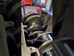 Thiết lập cho Lắp ráp Động cơ Diesel cho Cater C15